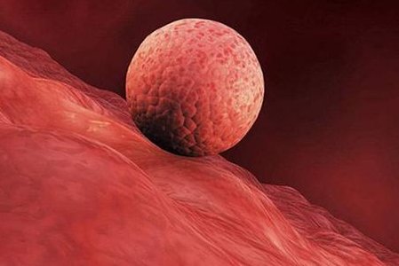 重庆市助孕机构排名：揭秘全市规模最大助孕机构精选推荐