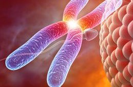 大庆萨尔图区试管婴儿哪家好，大庆萨尔图妇孩子童医院